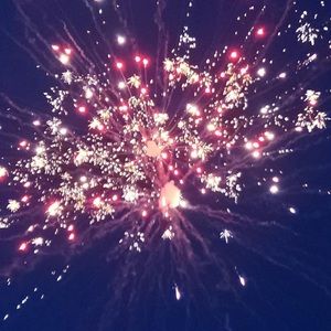 Meet your Posher, Ella